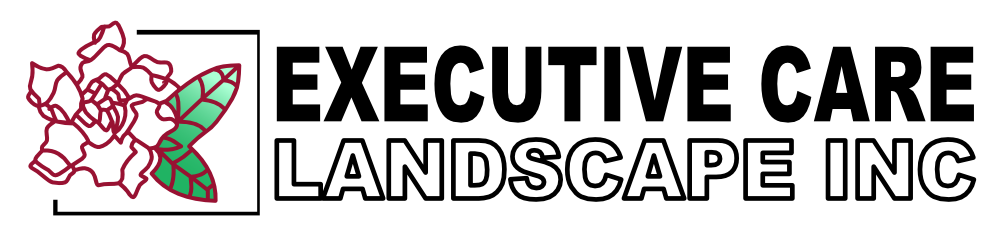 Executive Care Landscape