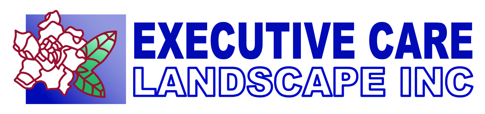 Executive Care Landscape