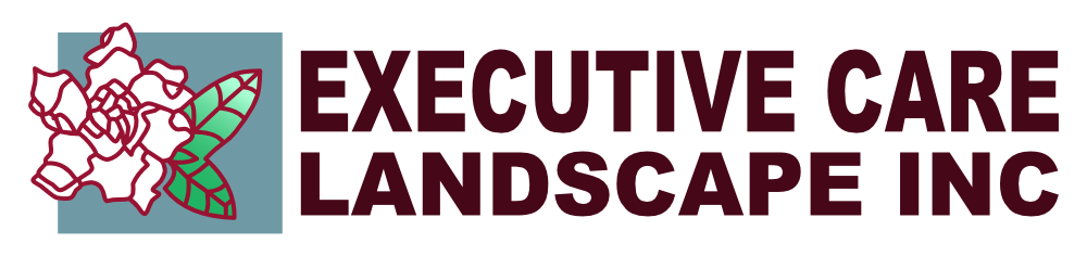 Executive Care Landscape