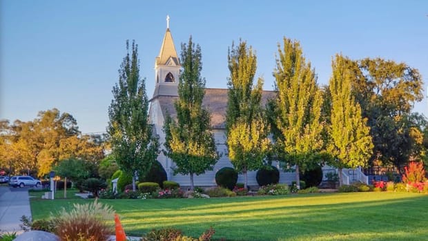 Commercial Landscapes